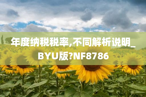 年度纳税税率,不同解析说明_BYU版?NF8786