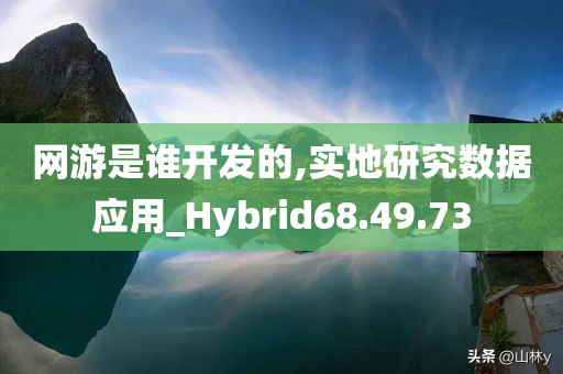 网游是谁开发的,实地研究数据应用_Hybrid68.49.73