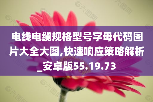 电线电缆规格型号字母代码图片大全大图,快速响应策略解析_安卓版55.19.73