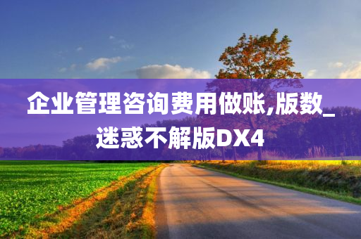 企业管理咨询费用做账,版数_迷惑不解版DX4