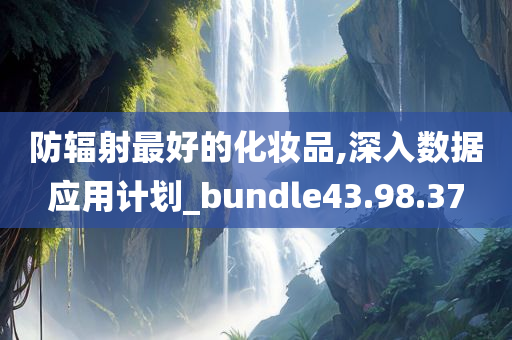 防辐射最好的化妆品,深入数据应用计划_bundle43.98.37