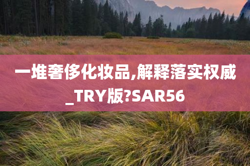 一堆奢侈化妆品,解释落实权威_TRY版?SAR56