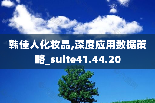 韩佳人化妆品,深度应用数据策略_suite41.44.20