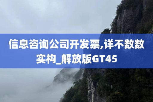 信息咨询公司开发票,详不数数实构_解放版GT45