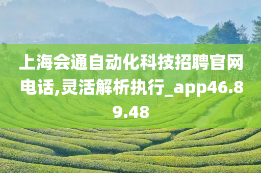 上海会通自动化科技招聘官网电话,灵活解析执行_app46.89.48