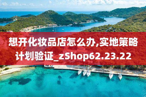 想开化妆品店怎么办,实地策略计划验证_zShop62.23.22