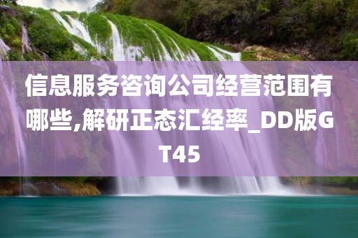 信息服务咨询公司经营范围有哪些,解研正态汇经率_DD版GT45