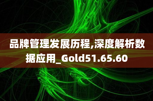 品牌管理发展历程,深度解析数据应用_Gold51.65.60