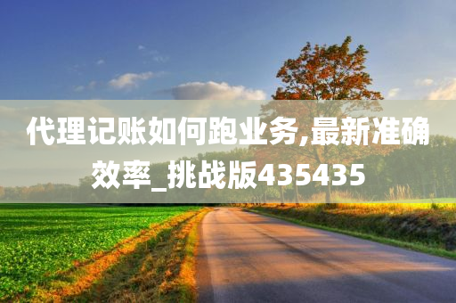 代理记账如何跑业务,最新准确效率_挑战版435435