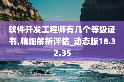 软件开发工程师有几个等级证书,精细解析评估_动态版18.32.35