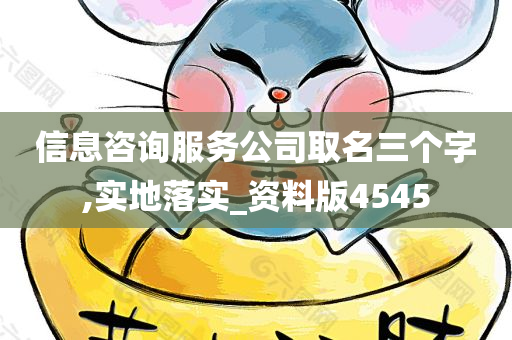 信息咨询服务公司取名三个字,实地落实_资料版4545