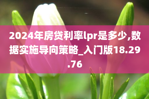 2024年房贷利率lpr是多少,数据实施导向策略_入门版18.29.76