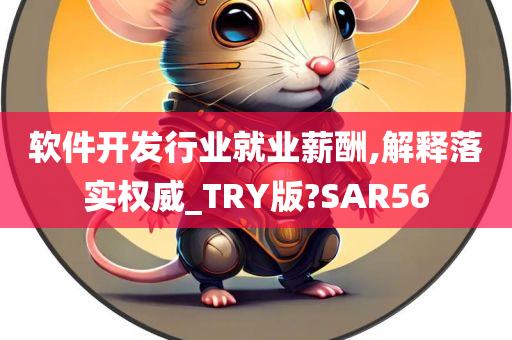 软件开发行业就业薪酬,解释落实权威_TRY版?SAR56