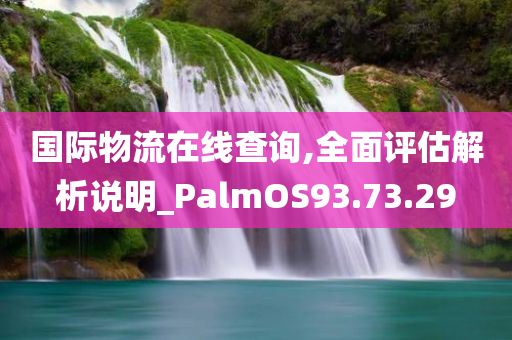 国际物流在线查询,全面评估解析说明_PalmOS93.73.29