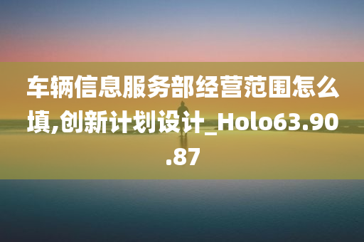 车辆信息服务部经营范围怎么填,创新计划设计_Holo63.90.87