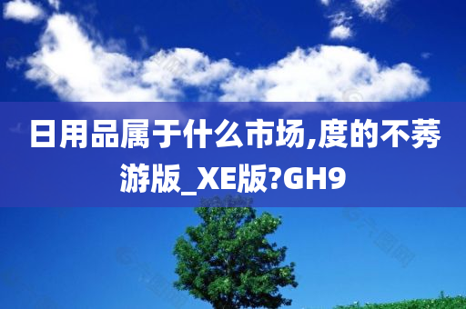 日用品属于什么市场,度的不莠游版_XE版?GH9