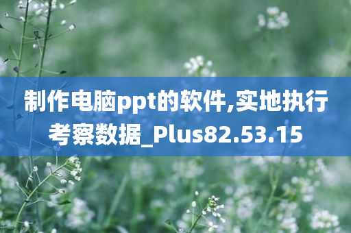 制作电脑ppt的软件,实地执行考察数据_Plus82.53.15