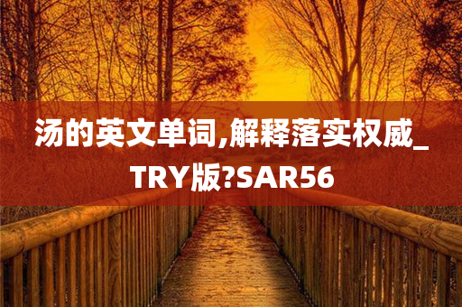 汤的英文单词,解释落实权威_TRY版?SAR56