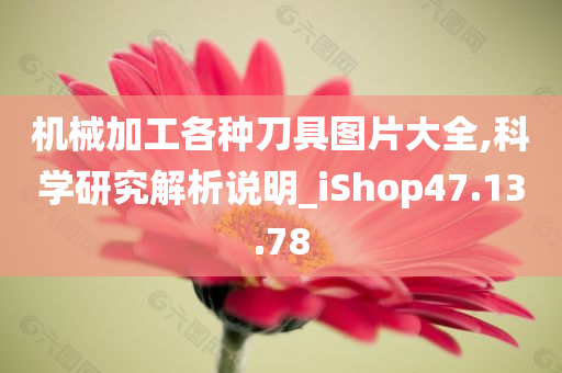 机械加工各种刀具图片大全,科学研究解析说明_iShop47.13.78