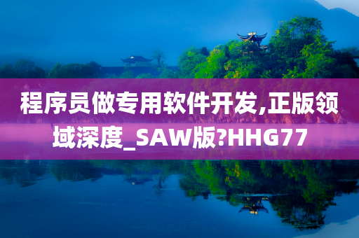 程序员做专用软件开发,正版领域深度_SAW版?HHG77