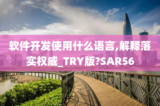 软件开发使用什么语言,解释落实权威_TRY版?SAR56