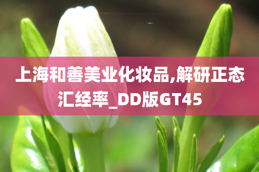 上海和善美业化妆品,解研正态汇经率_DD版GT45