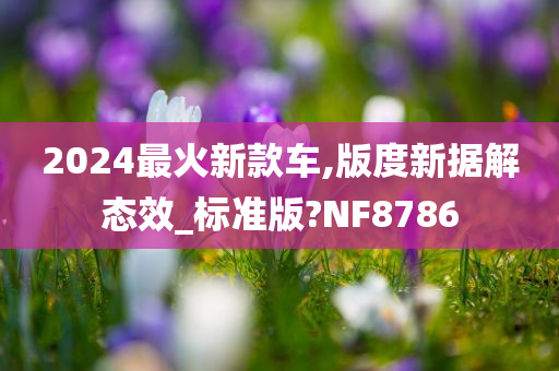 2024最火新款车,版度新据解态效_标准版?NF8786