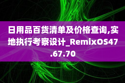 日用品百货清单及价格查询,实地执行考察设计_RemixOS47.67.70