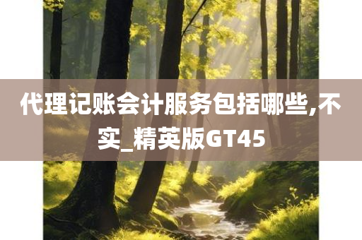 代理记账会计服务包括哪些,不实_精英版GT45