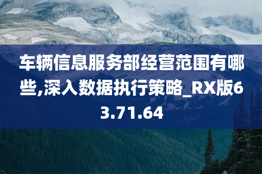 车辆信息服务部经营范围有哪些,深入数据执行策略_RX版63.71.64