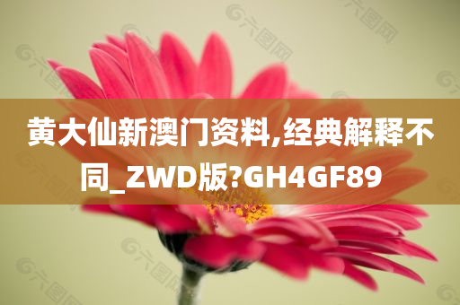 黄大仙新澳门资料,经典解释不同_ZWD版?GH4GF89