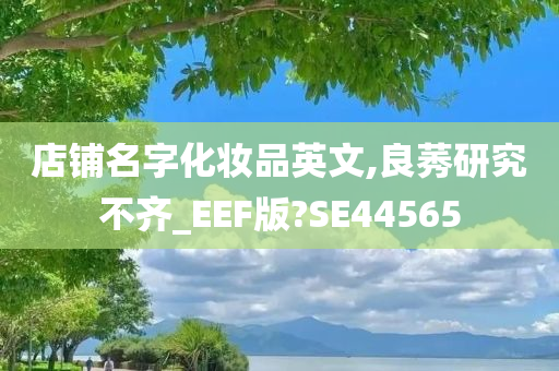 店铺名字化妆品英文,良莠研究不齐_EEF版?SE44565