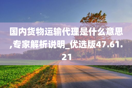 国内货物运输代理是什么意思,专家解析说明_优选版47.61.21