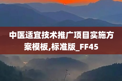 中医适宜技术推广项目实施方案模板,标准版_FF45