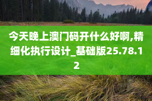 今天晚上澳门码开什么好啊,精细化执行设计_基础版25.78.12