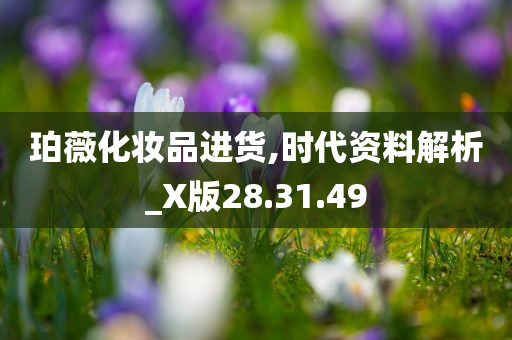 珀薇化妆品进货,时代资料解析_X版28.31.49