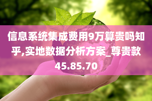 信息系统集成费用9万算贵吗知乎,实地数据分析方案_尊贵款45.85.70