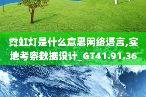 霓虹灯是什么意思网络语言,实地考察数据设计_GT41.91.36