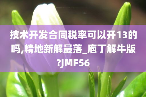 技术开发合同税率可以开13的吗,精地新解最落_庖丁解牛版?JMF56