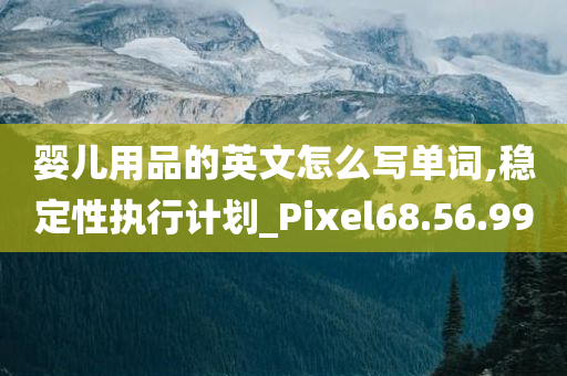 婴儿用品的英文怎么写单词,稳定性执行计划_Pixel68.56.99