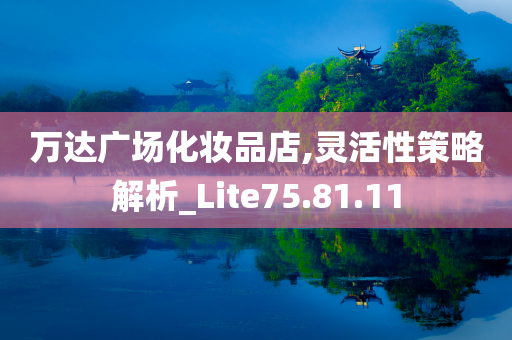 万达广场化妆品店,灵活性策略解析_Lite75.81.11