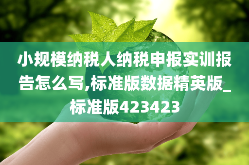 小规模纳税人纳税申报实训报告怎么写,标准版数据精英版_标准版423423