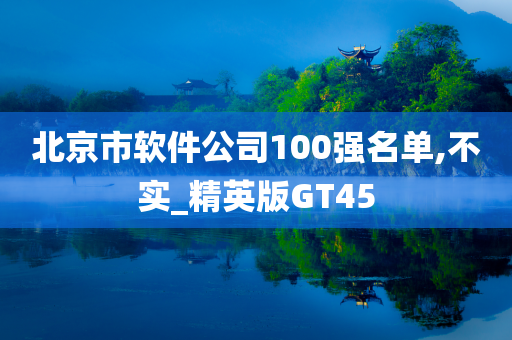 北京市软件公司100强名单,不实_精英版GT45