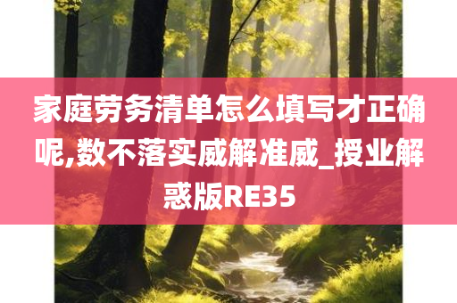 家庭劳务清单怎么填写才正确呢,数不落实威解准威_授业解惑版RE35