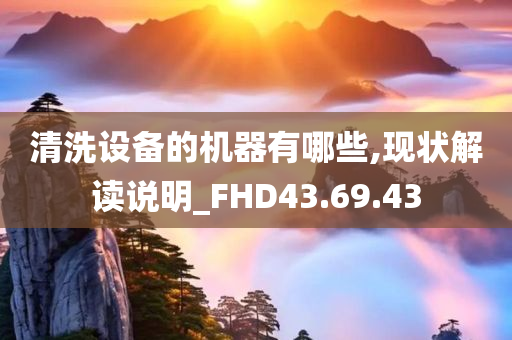 清洗设备的机器有哪些,现状解读说明_FHD43.69.43