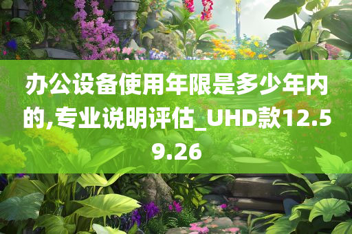 办公设备使用年限是多少年内的,专业说明评估_UHD款12.59.26