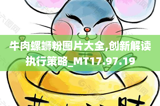 牛肉螺蛳粉图片大全,创新解读执行策略_MT17.97.19