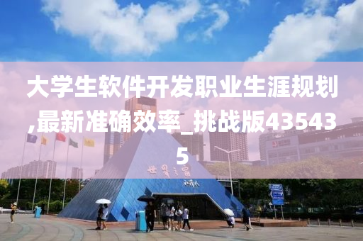 大学生软件开发职业生涯规划,最新准确效率_挑战版435435