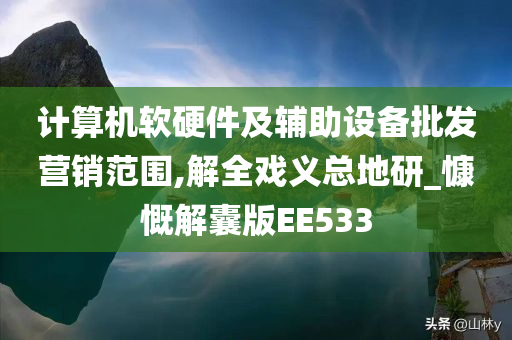 计算机软硬件及辅助设备批发营销范围,解全戏义总地研_慷慨解囊版EE533