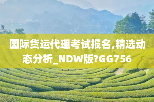 国际货运代理考试报名,精选动态分析_NDW版?GG756